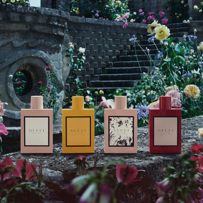 Abu Shakra Stores: All you need from Perfumes, Makeup, Skin Care