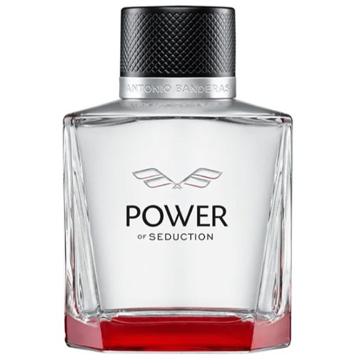 Power Of Seduction EDT 100Ml For Men